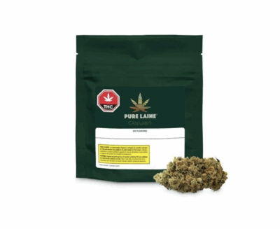 EVRIS - R.I♡  ❗️ Fisher-Price Linkimals Happy Shapes Hedgehog - French