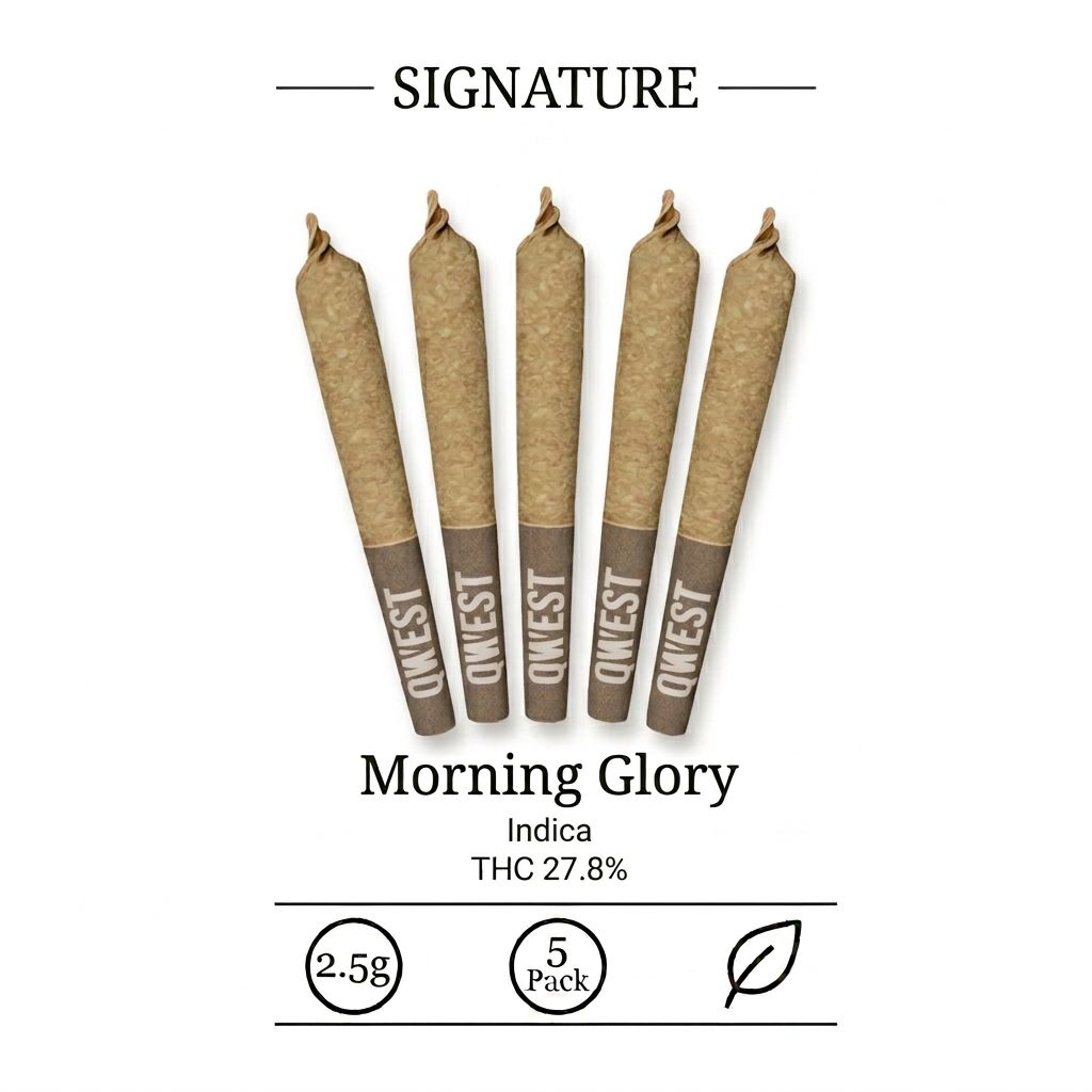 Morning Sun Pre-Roll Qwest